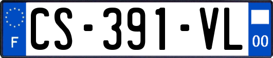 CS-391-VL