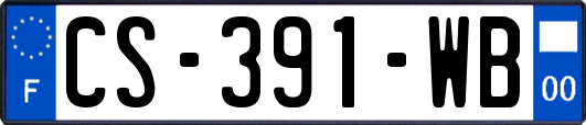 CS-391-WB