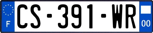 CS-391-WR