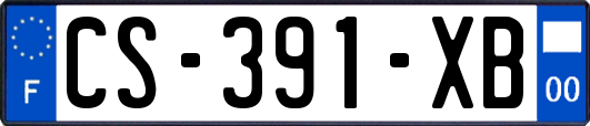 CS-391-XB