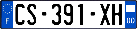 CS-391-XH