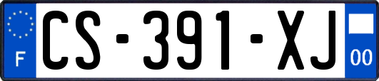 CS-391-XJ