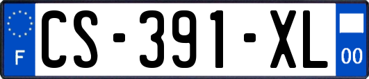 CS-391-XL