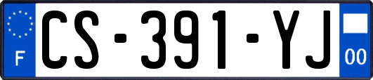 CS-391-YJ