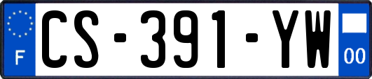 CS-391-YW