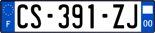 CS-391-ZJ