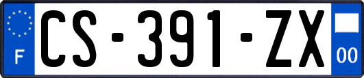 CS-391-ZX