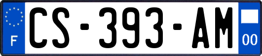 CS-393-AM