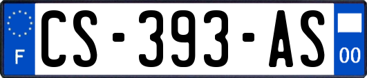 CS-393-AS