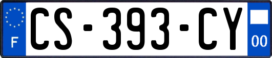 CS-393-CY