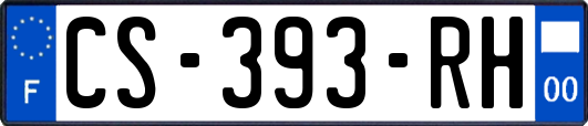 CS-393-RH