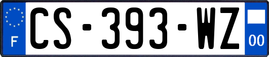 CS-393-WZ