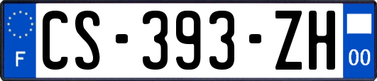 CS-393-ZH