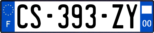 CS-393-ZY