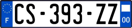 CS-393-ZZ