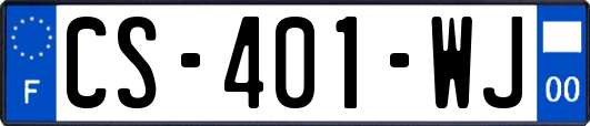 CS-401-WJ