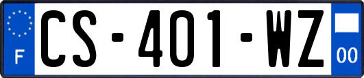 CS-401-WZ