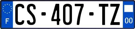 CS-407-TZ