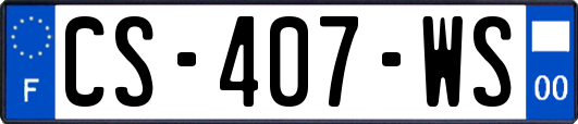 CS-407-WS