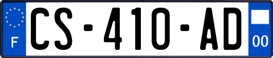 CS-410-AD