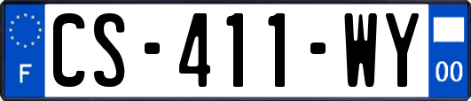 CS-411-WY