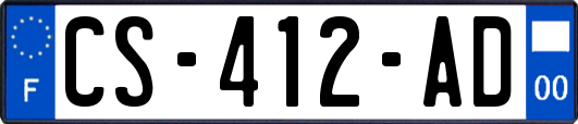 CS-412-AD