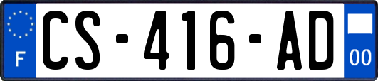 CS-416-AD