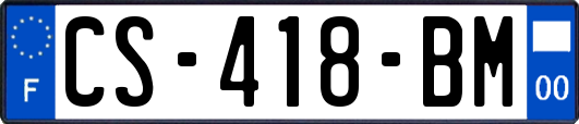 CS-418-BM