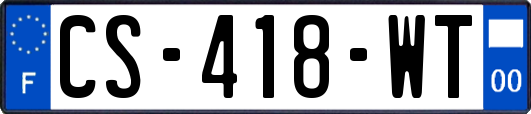 CS-418-WT