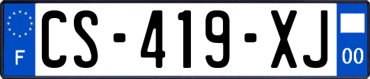 CS-419-XJ