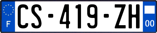 CS-419-ZH