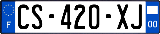 CS-420-XJ