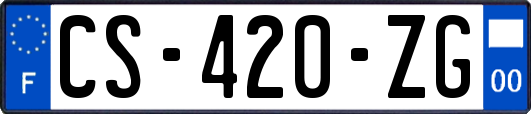 CS-420-ZG