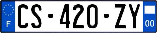 CS-420-ZY