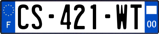CS-421-WT