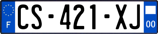 CS-421-XJ