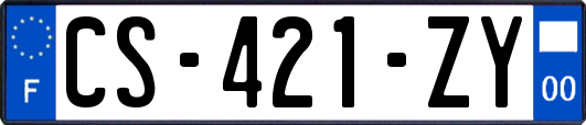 CS-421-ZY