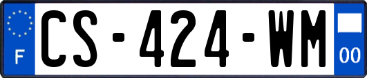 CS-424-WM