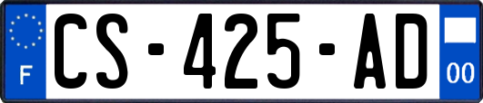 CS-425-AD