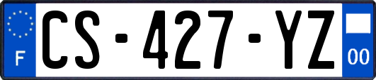 CS-427-YZ