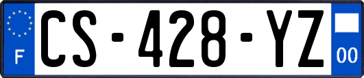 CS-428-YZ