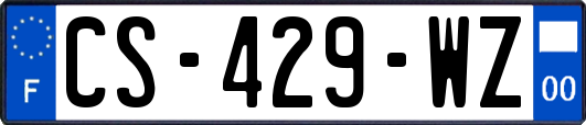 CS-429-WZ