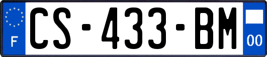 CS-433-BM