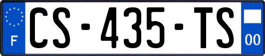 CS-435-TS