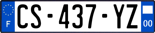 CS-437-YZ