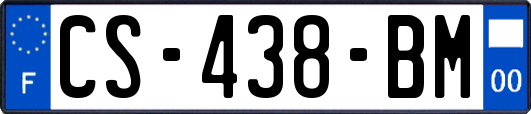 CS-438-BM