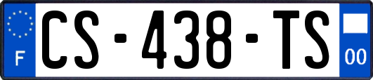 CS-438-TS