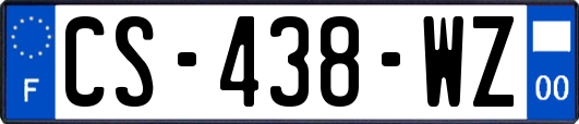 CS-438-WZ