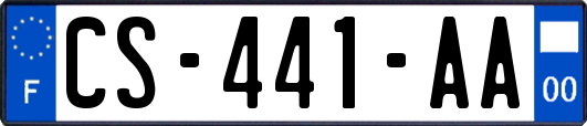 CS-441-AA