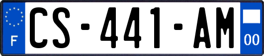 CS-441-AM